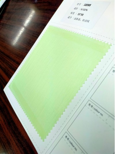 GZ-LY 32095 成分：100%Nylon 幅寬：55